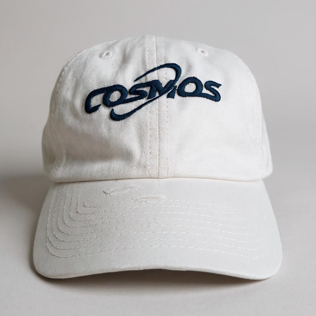 Cosmos Embroidered Hat - Dream Big