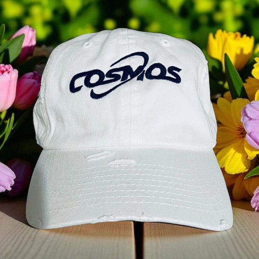 Cosmos Embroidered Hat - Dream Big